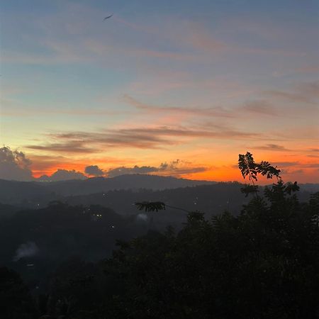 Kandy Hill Escape Exterior foto